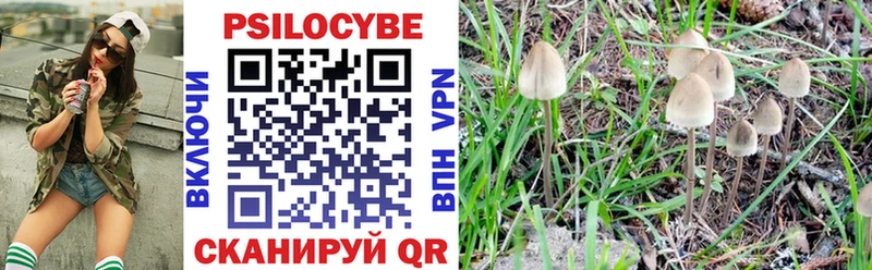 Галлюциногенные грибы прущие грибы  Рубцовск 